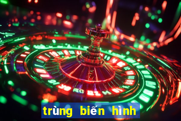 trùng biến hình có đặc điểm