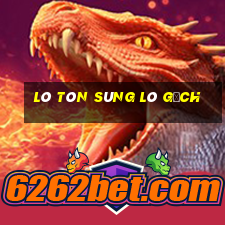 lò tôn sùng lò gạch