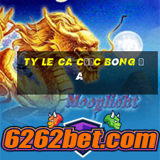 ty le ca cược bóng đá