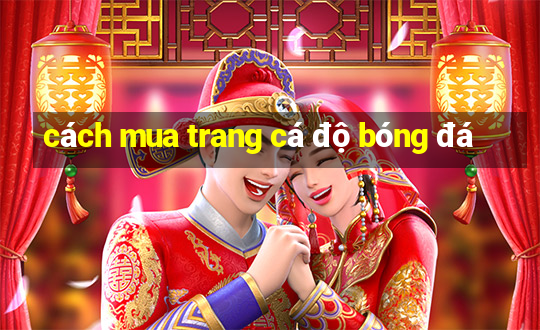 cách mua trang cá độ bóng đá