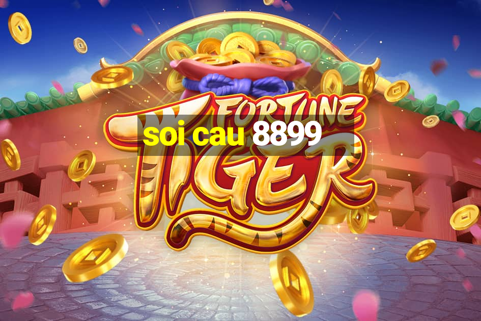 soi cau 8899