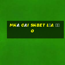 nhà cái shbet lừa đảo