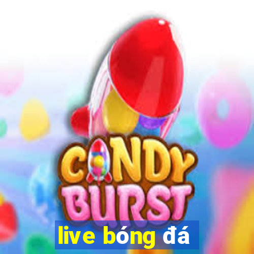 live bóng đá