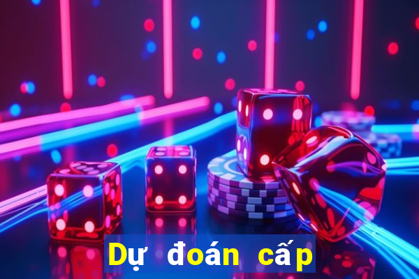 Dự đoán cấp độ bóng đá đơn