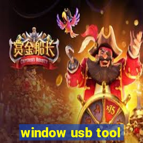 window usb tool