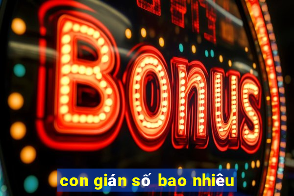 con gián số bao nhiêu