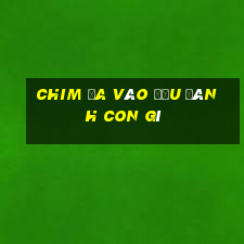 chim ỉa vào đầu đánh con gì