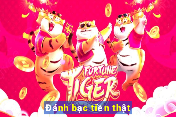 Đánh bạc tiền thật