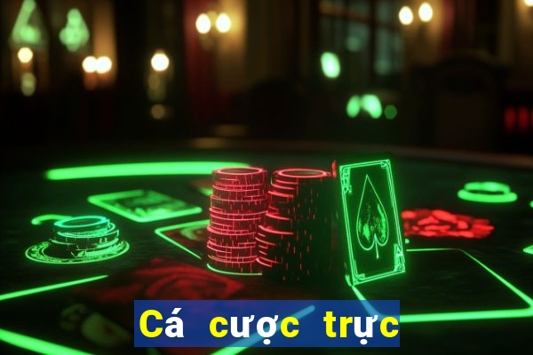 Cá cược trực tuyến dafabet