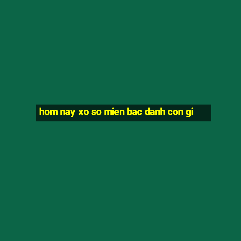 hom nay xo so mien bac danh con gi