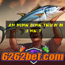 an ninh bình thuận mới nhất