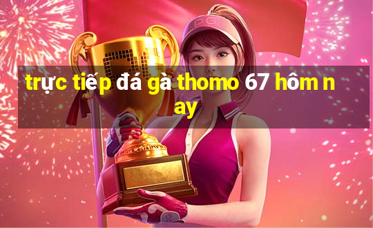 trực tiếp đá gà thomo 67 hôm nay