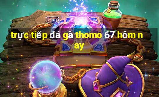 trực tiếp đá gà thomo 67 hôm nay