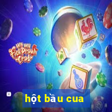 hột bầu cua