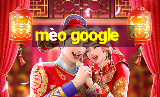 mèo google