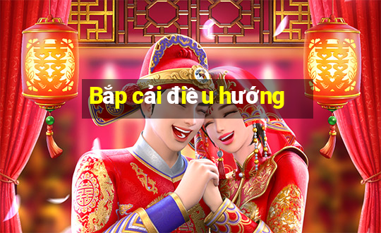 Bắp cải điều hướng