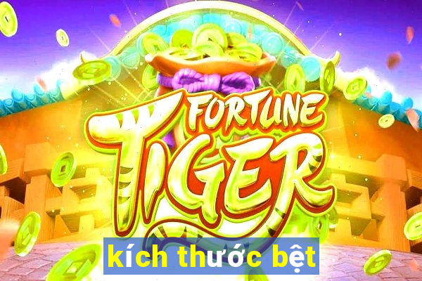 kích thước bệt