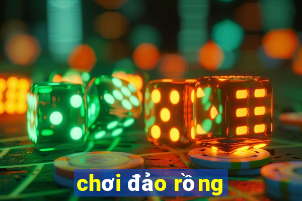 chơi đảo rồng