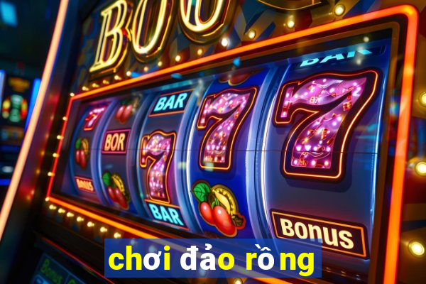 chơi đảo rồng