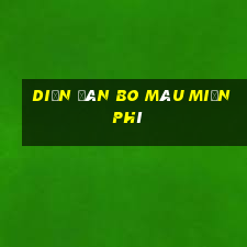 Diễn đàn Bo Màu miễn phí