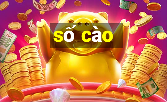 số cào