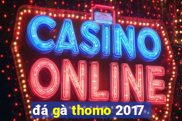 đá gà thomo 2017