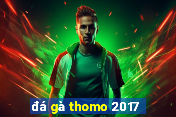 đá gà thomo 2017