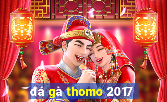 đá gà thomo 2017