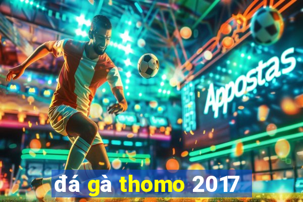 đá gà thomo 2017