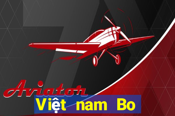 Việt nam Bo giải trí