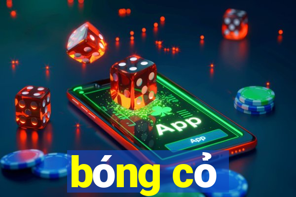 bóng cỏ