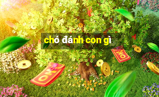 chó đánh con gì