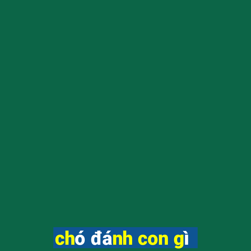 chó đánh con gì