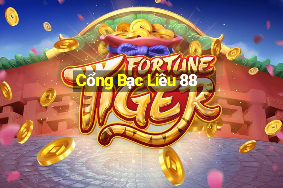 Cổng Bạc Liêu 88