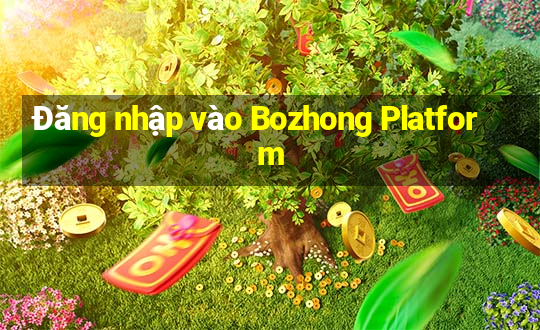 Đăng nhập vào Bozhong Platform