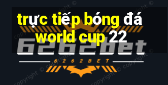 trực tiếp bóng đá world cup 22