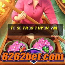 tỷ số trực tuyến 7m