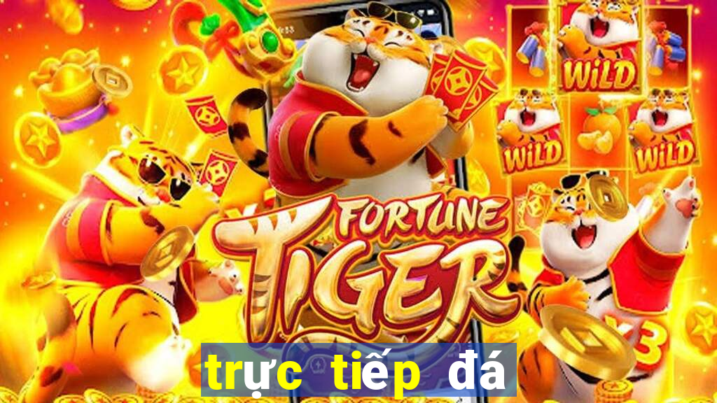 trực tiếp đá gà casino 369