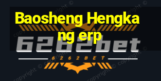 Baosheng Hengkang erp