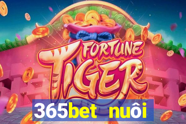 365bet nuôi dưỡng Châu Á