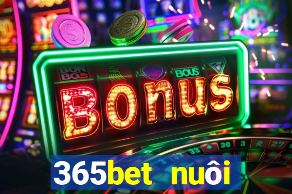 365bet nuôi dưỡng Châu Á