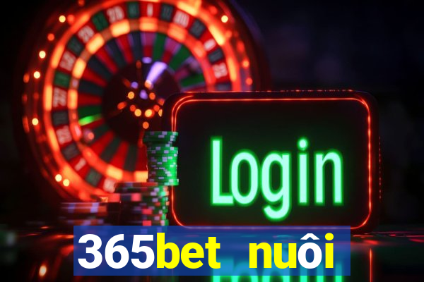 365bet nuôi dưỡng Châu Á