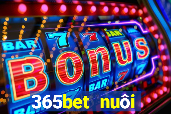 365bet nuôi dưỡng Châu Á