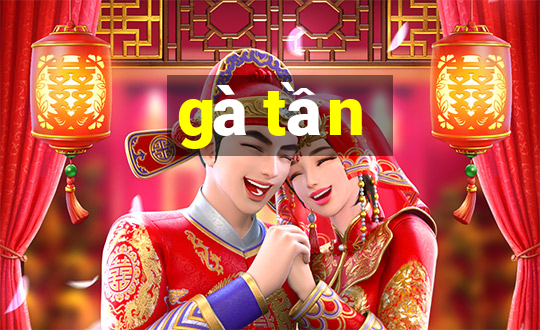 gà tần