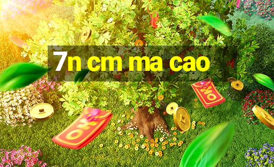 7n cm ma cao