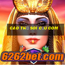 cao thủ soi cầu com