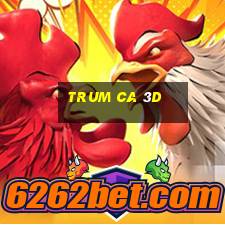 trum ca 3d