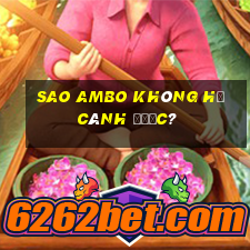 Sao Ambo không hạ cánh được?