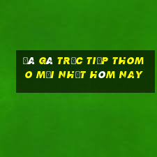 đá gà trực tiếp thomo mới nhất hôm nay