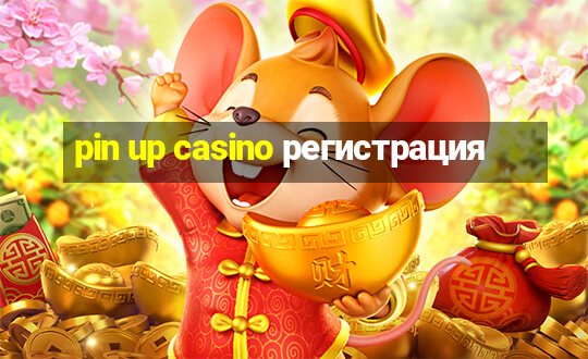 pin up casino регистрация